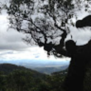 Meet your Posher, Elaine